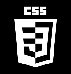 CSS Logo